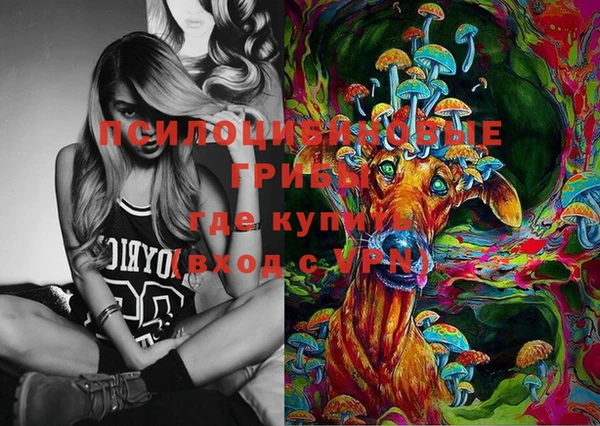 молекула духа Абинск