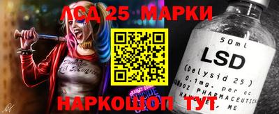 гидропоника Донской