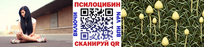 Галлюциногенные грибы мухоморы Майский